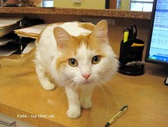 Cover Life As I Know It (eBook, ePUB)