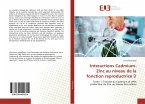 Interactions Cadmium-Zinc au niveau de la fonction reproductrice ¿