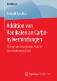 Addition von Radikalen an Carbonylverbindungen (eBook, PDF)