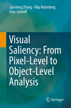 Visual Saliency: From Pixel-Level to Object-Level Analysis (eBook, PDF) - Zhang, Jianming; Malmberg, Filip; Sclaroff, Stan