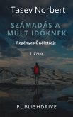 Számadás a múlt időknek (eBook, ePUB)