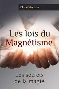 Cover lois du magnetisme (eBook, ePUB)