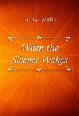 When the Sleeper Wakes (eBook, ePUB)