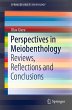 Perspectives in Meiobenthology - Bild 1