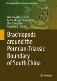 Brachiopods around the Permian-Triassic Boundary of South China (eBook, PDF)