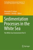 Sedimentation Processes in the White Sea (eBook, PDF)