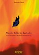 Wie der Falter in das Licht (eBook,... - Bild 1