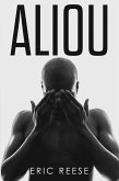 Aliou (eBook, ePUB)