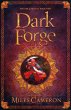 Dark Forge (eBook, ePUB) - Bild 1