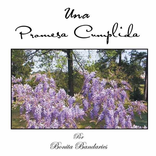 Una Promesa Cumplida (eBook, ePUB)