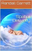 Spatial Delivery (eBook, PDF)