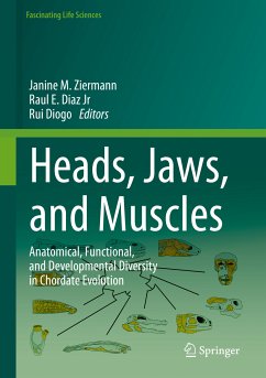 Heads, Jaws, and Muscles (eBook, PDF)
