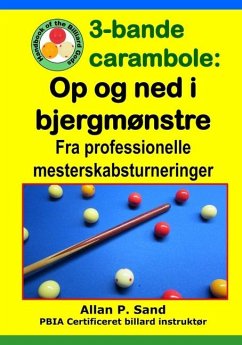 3-bande carambole - Op og ned i bjergmønstre - Sand, Allan P