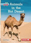 Animals in the Hot Desert