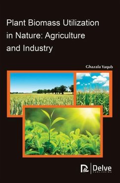 Plant Biomass Utilization in Nature: Agriculture and Industry - Yaqub, Ghazala
