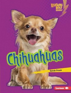 Chihuahuas - Frank, Sarah