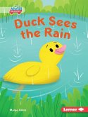 Duck Sees the Rain