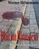 Blut im Rinnstein (eBook, ePUB)