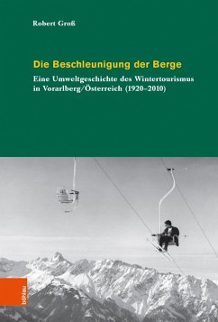 Die Beschleunigung der Berge (eBook, PDF) - Groß, Robert