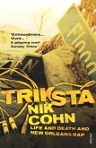 Triksta (eBook, ePUB)