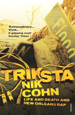 Triksta (eBook, ePUB) - Cohn, Nik