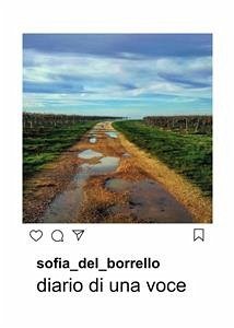 Cover Diario di una voce (eBook, PDF)