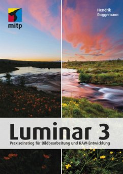 Luminar 3 - Roggemann, Hendrik