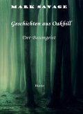 Geschichten aus Oakhill (eBook, ePUB)