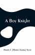 A Boy Knight - Bild 1