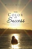 The Color of Success (eBook, ePUB)