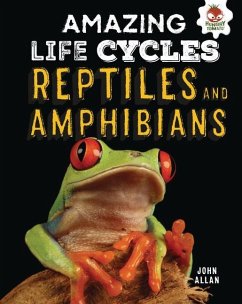 Reptiles and Amphibians - Allan, John