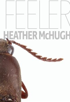 Feeler - Mchugh, Heather