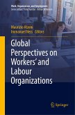 Global Perspectives on Workers' and Labour Organizations