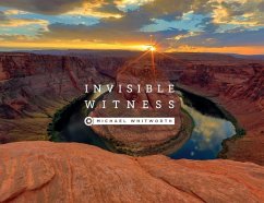 Invisible Witness - Whitworth, Michael