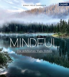 Mindful (eBook, ePUB) - Carrasco, Birgit Feliz