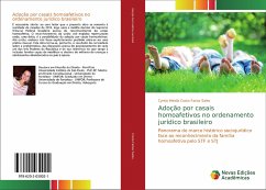 Adoção por casais homoafetivos no ordenamento jurídico brasileiro