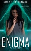 Enigma (eBook, ePUB)