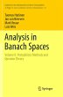 Analysis in Banach Spaces - Bild 1