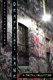 Graffiti Lane (eBook, ePUB)