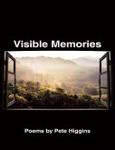 Visible Memories (eBook, ePUB)