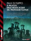 Il Palazzo delle Molte Acque del professor Fluvius (eBook, ePUB)