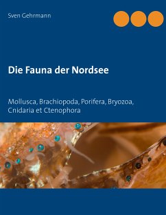 Die Fauna der Nordsee (eBook, ePUB) - Gehrmann, Sven