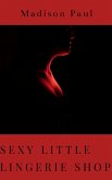 Sexy Little Lingerie Shop (eBook, ePUB)