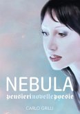 Nebula (eBook, ePUB)