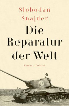 Die Reparatur der Welt (eBook, ePUB) - Snajder, Slobodan