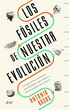 Los fósiles de nuestra evolución : un viaje por los yacimientos paleontológicos que explican nuestro pasado como especie - Rosas González, Antonio