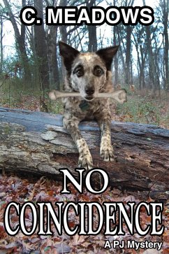 Cover No Coincidence, a PJ Mystery (eBook, ePUB)