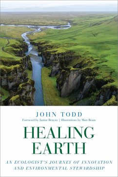 Cover Healing Earth (eBook, ePUB)