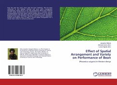 Effect of Spatial Arrangement and Variety on Performance of Bean