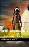 Lives of Famous Indian Chiefs / From Cofachiqui, the Indian Princess and Powhatan, down / to and including Chief Joseph and Geronimo (eBook, ePUB)
